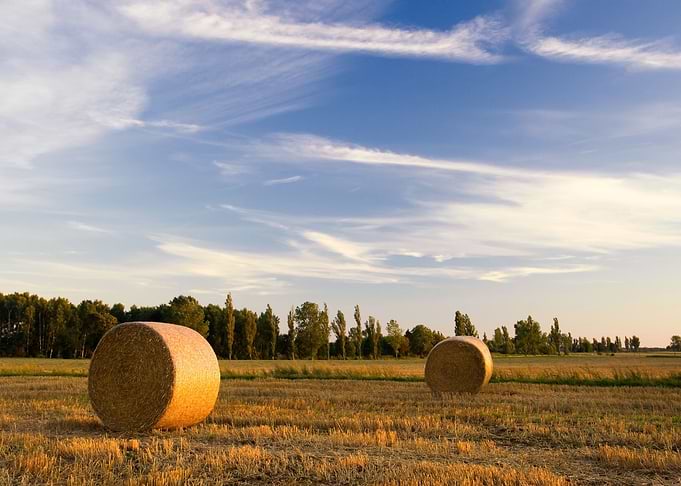 Grain Bundle Yield Economy