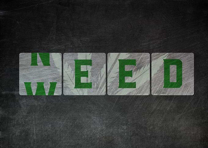 Need Weed