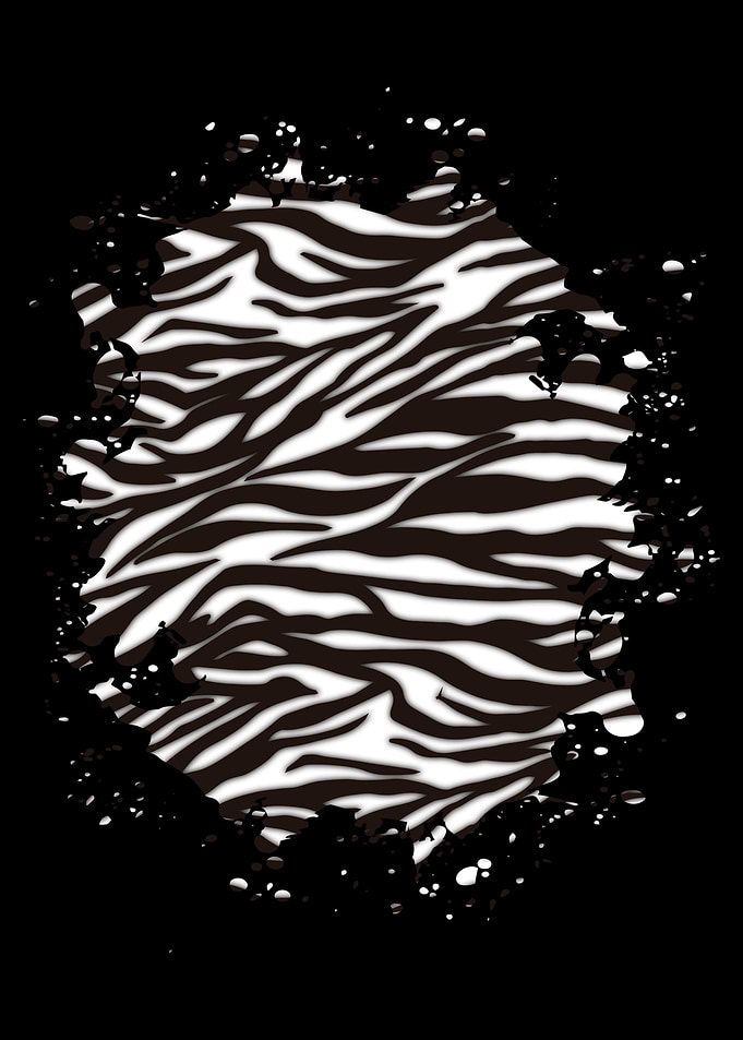 Zebra Skin Zebra fur