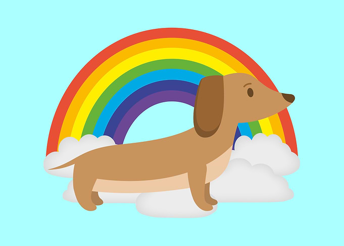Cute Dachshund Rainbow