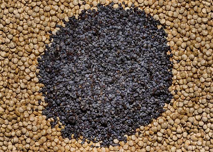 Seeds II