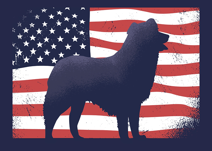 USA flag dog silhouette