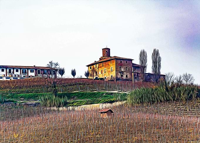 Vineyards in Barolo valley