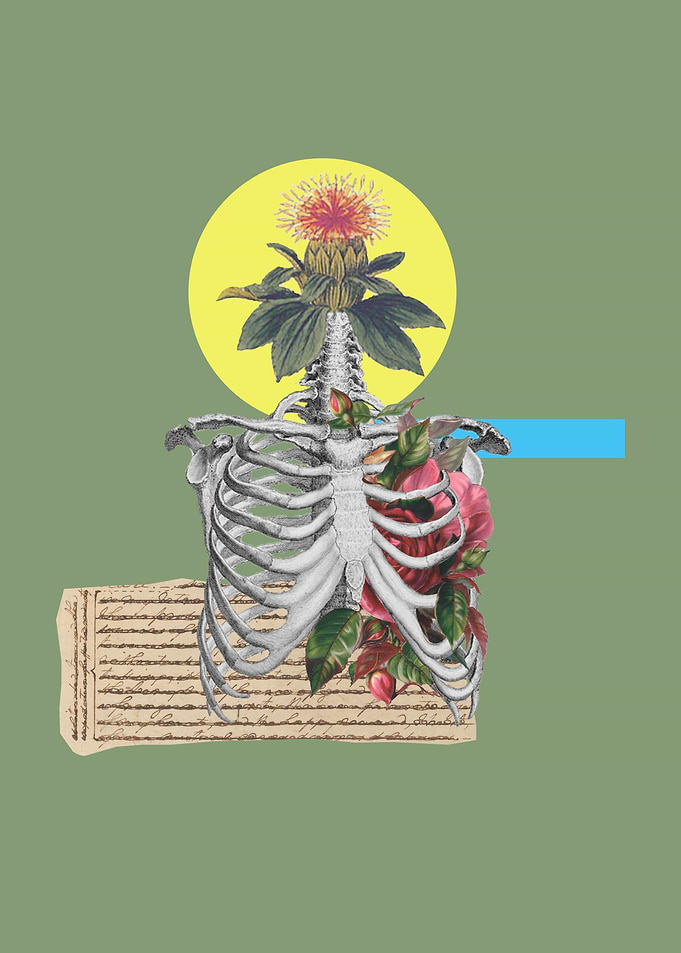 Deadly Letter