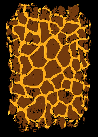 Giraffe giraffe fur