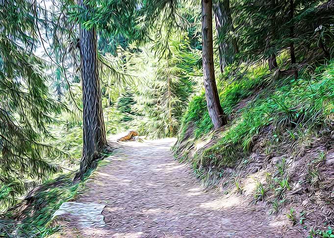 Hiking pathway in the Alps