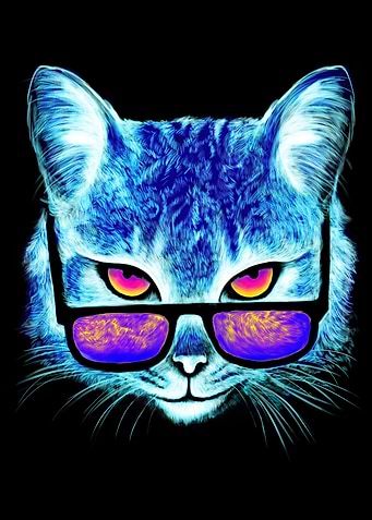 Neon Cat with Sunglasses