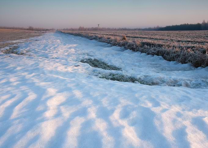 Snow Sun Winter Field Suns