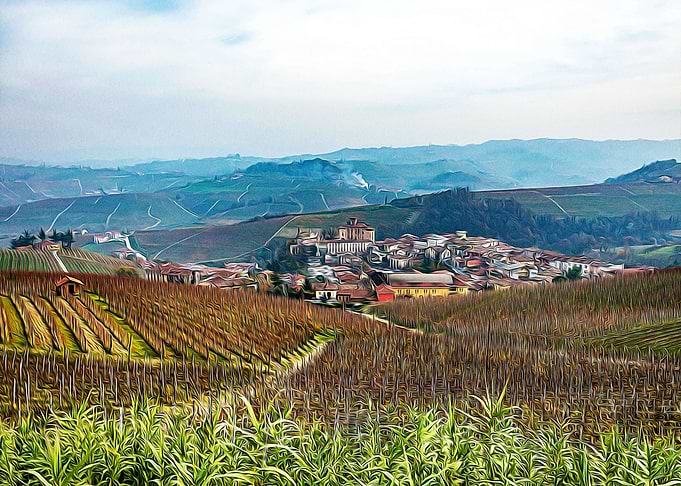 Vineyards in Barolo valley
