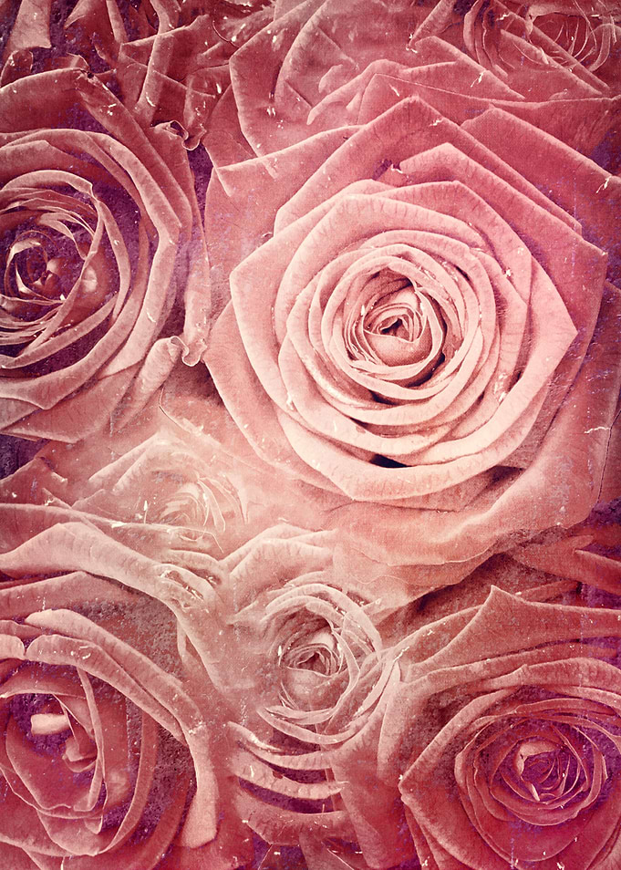 Distressed Roses