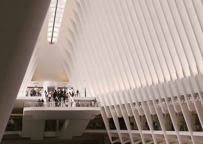 The Oculus My POV