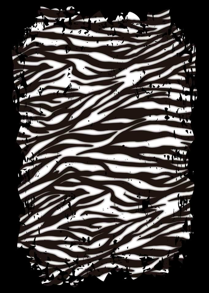 Zebra Skin Zebra fur