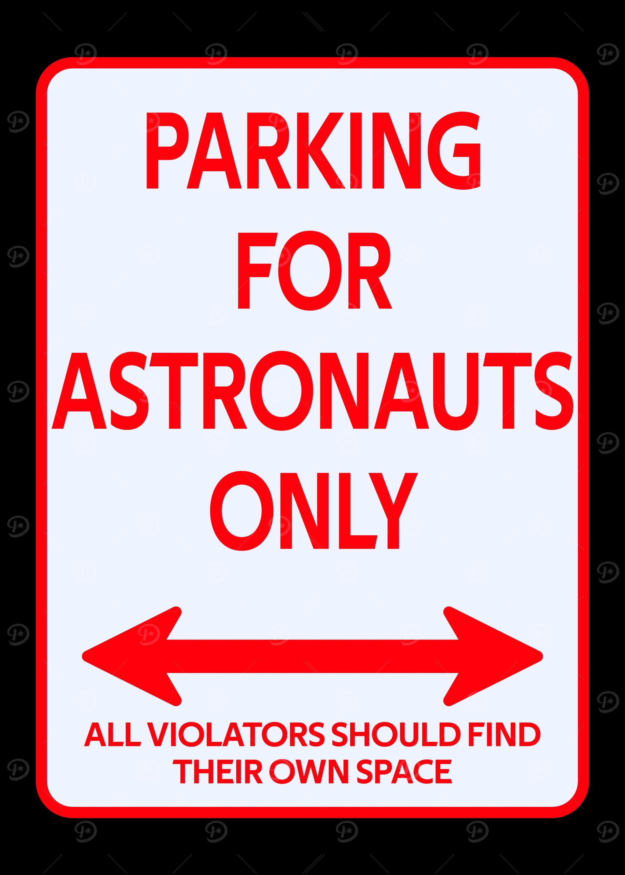 Astronauts Space Parking