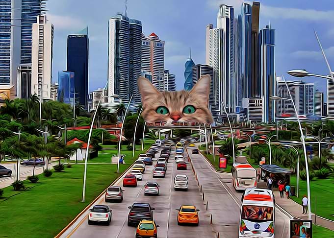 I see you