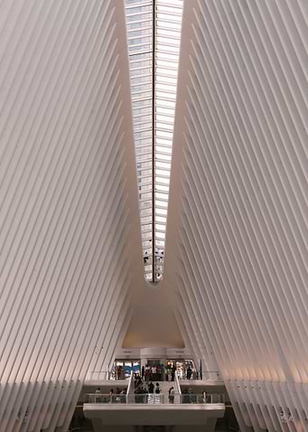 The Oculus Classic view
