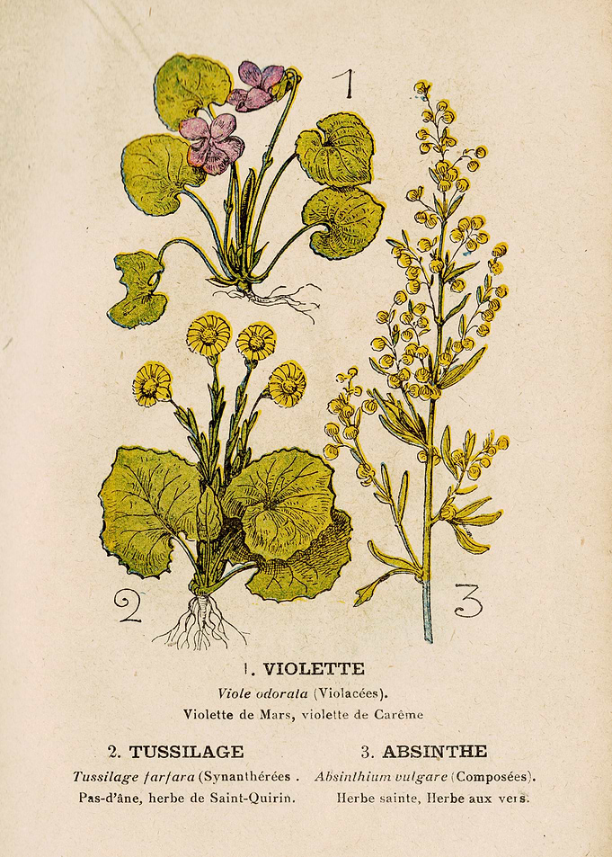 VIOLET + COLTSF + ABSINTHE