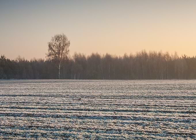 Snow Sun Winter Field Suns
