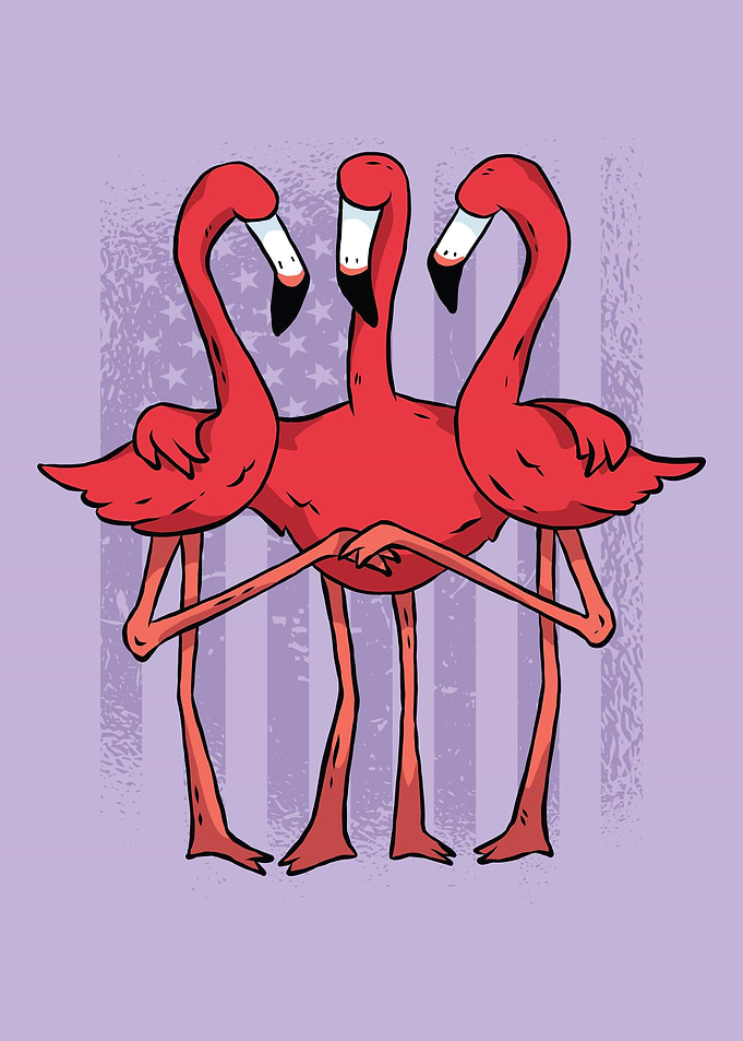 flamingos American flag