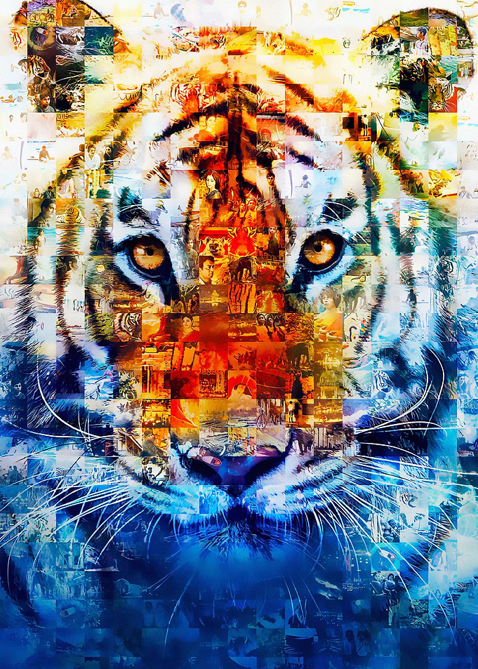 Life of Pi
