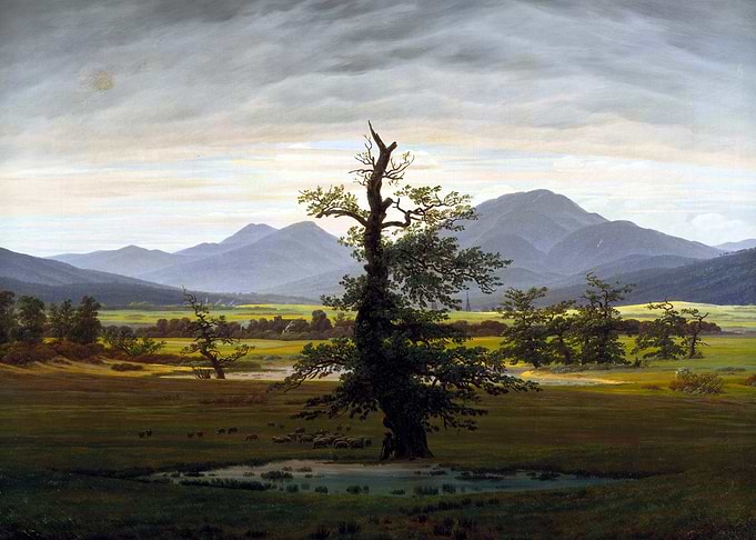 The Lonely Tree