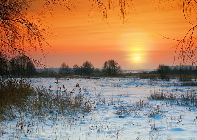 Background Beautiful Cold