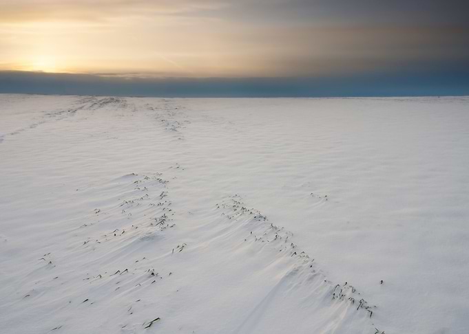 Snow Sun Winter Field Suns
