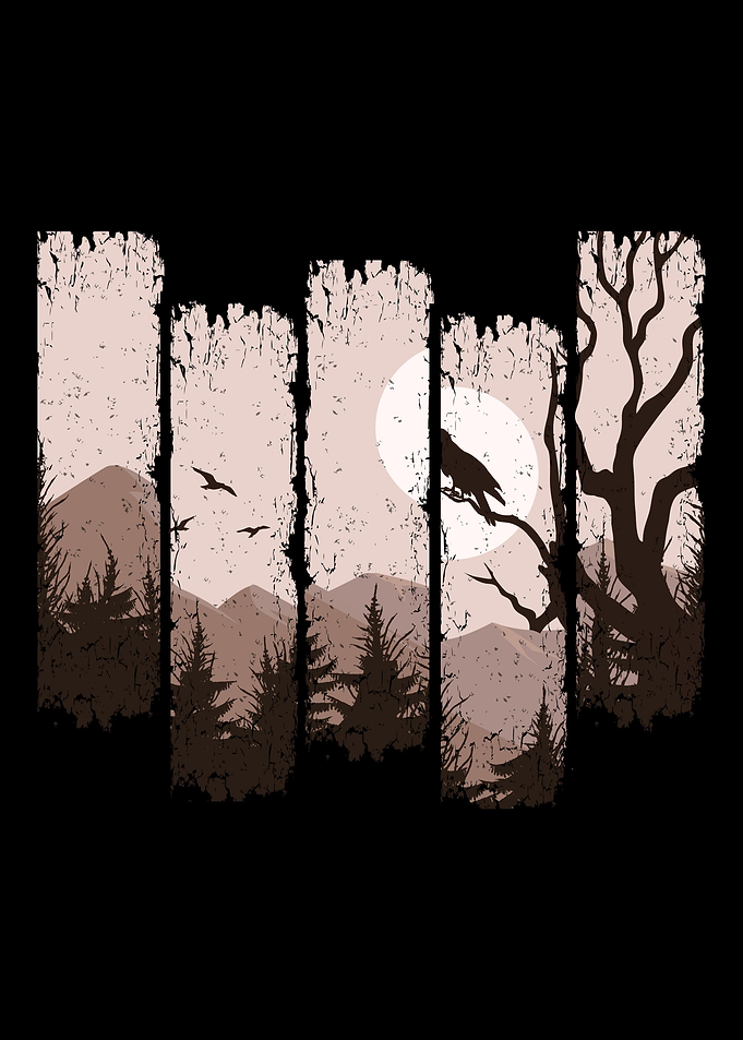Night Shadows