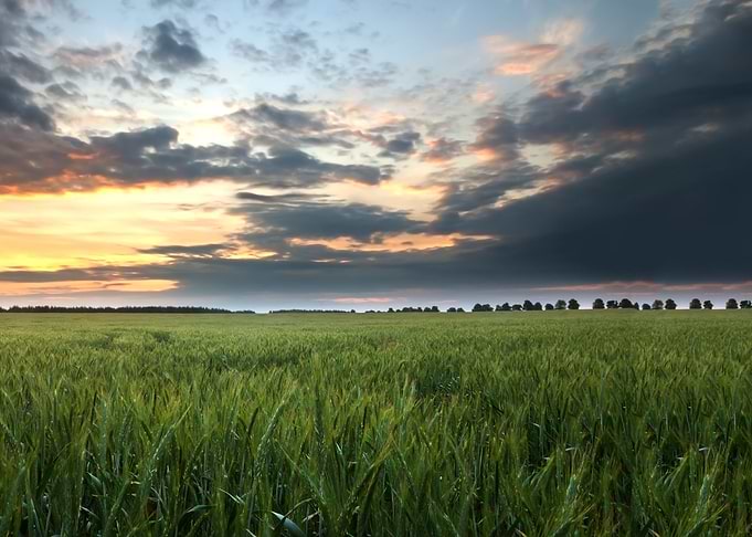 Meadow Nature Landscape Ha