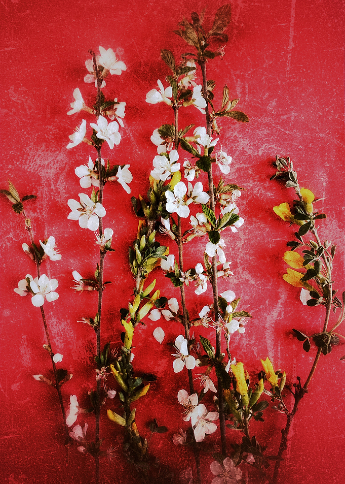 Abstract background