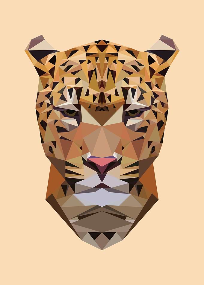 African Leopard Polygon
