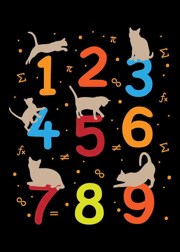 Mathematician Math Cat