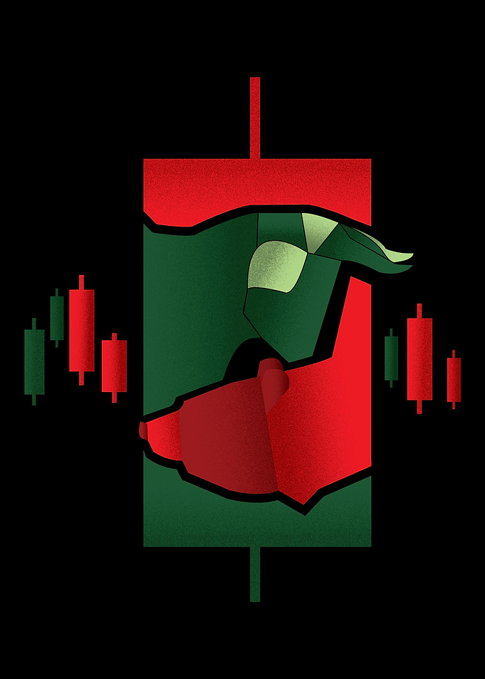 Bear Bull Market