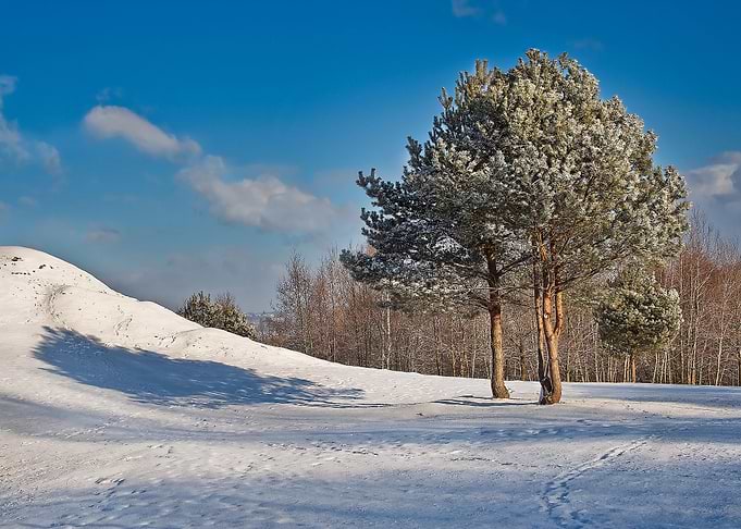 Sky Snow Season Park Lands
