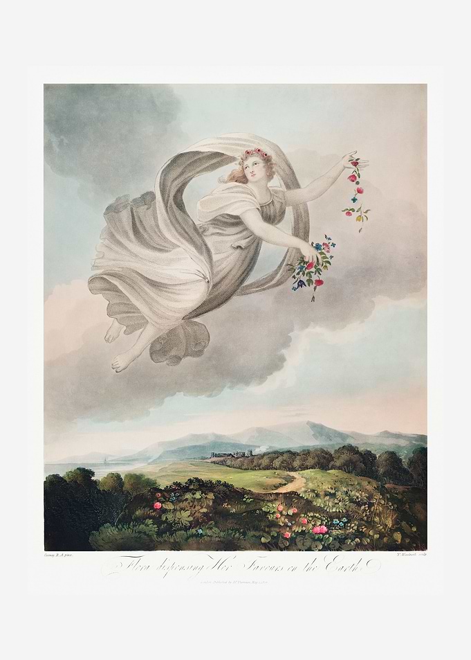 Flora