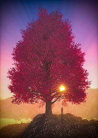 Alone