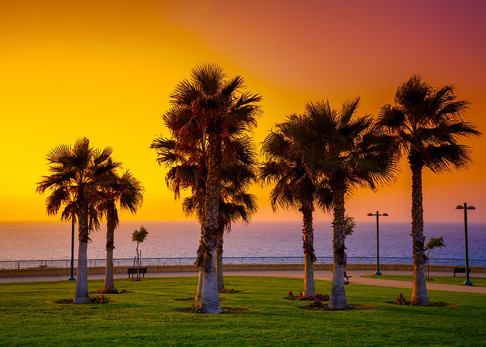 Beautiful Blue City Dawn D