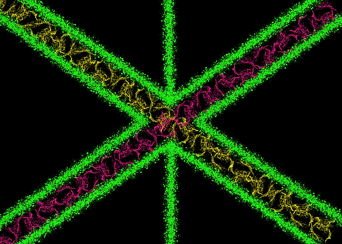 Abstract