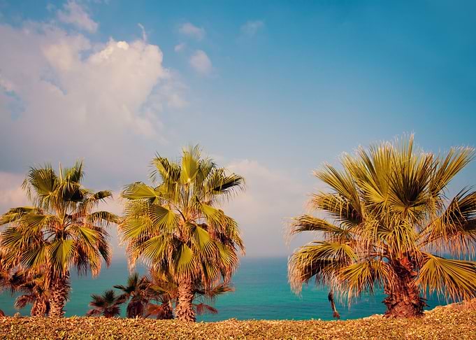 Arid Background Beach Beau