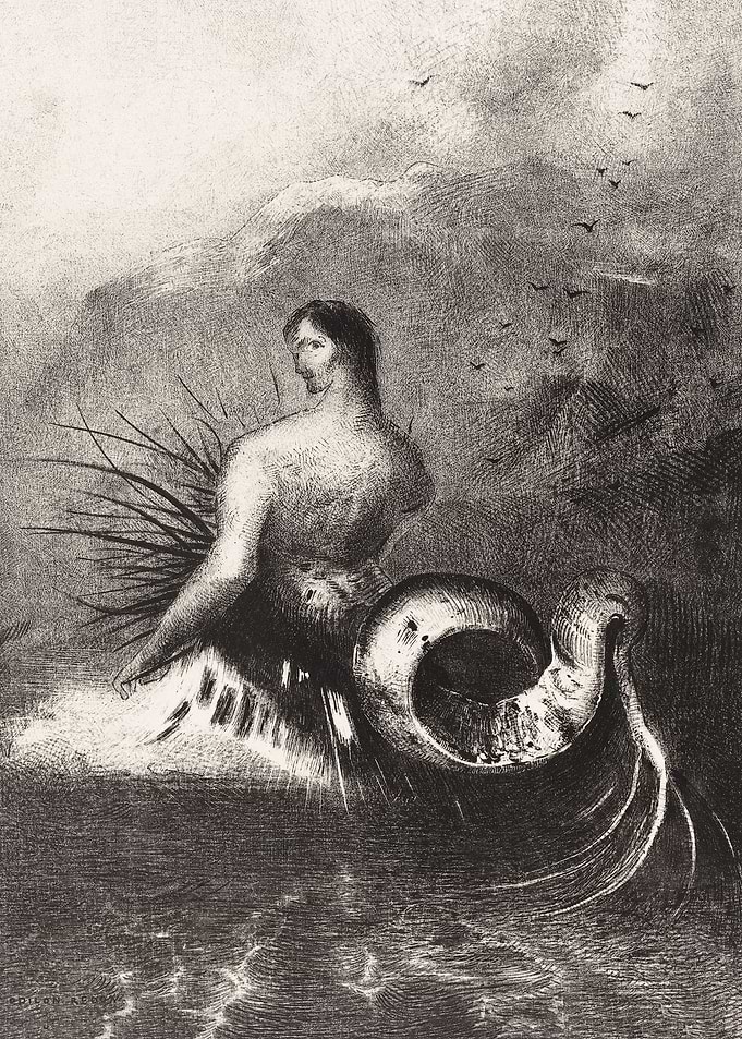 The Siren Clothed In Barbs