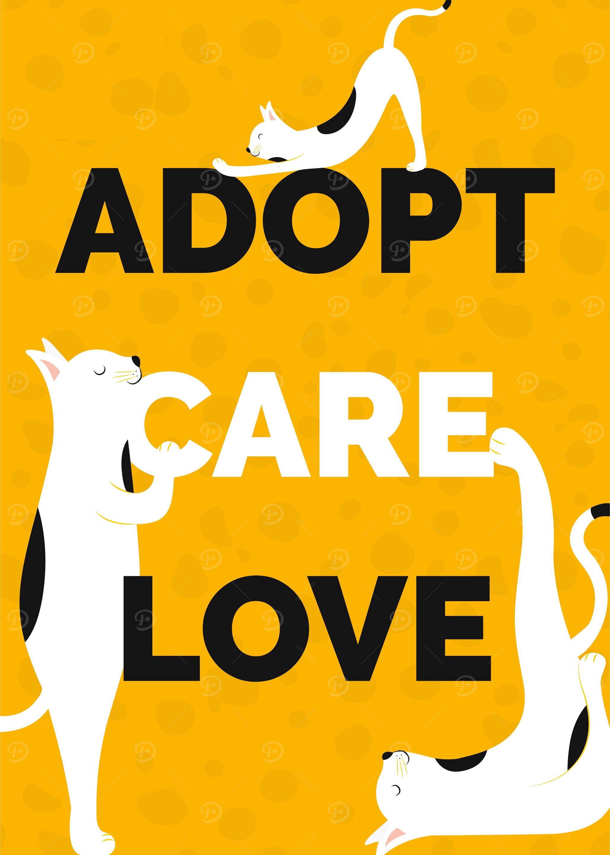 Cat Adopt Care Love
