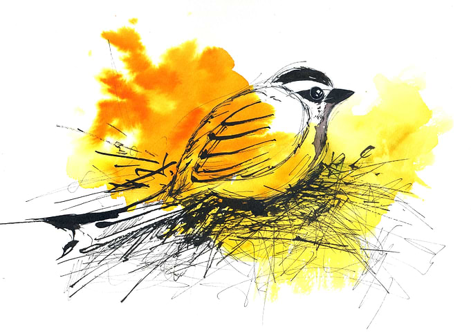 Bird on Yellow