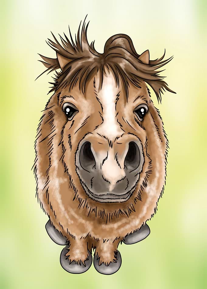 Fluffy pony