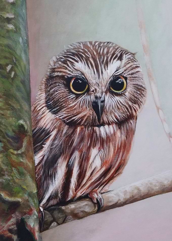 Night Eyes