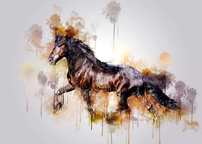 Horse Running