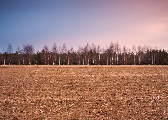 Plant Pasture Plow Plowed