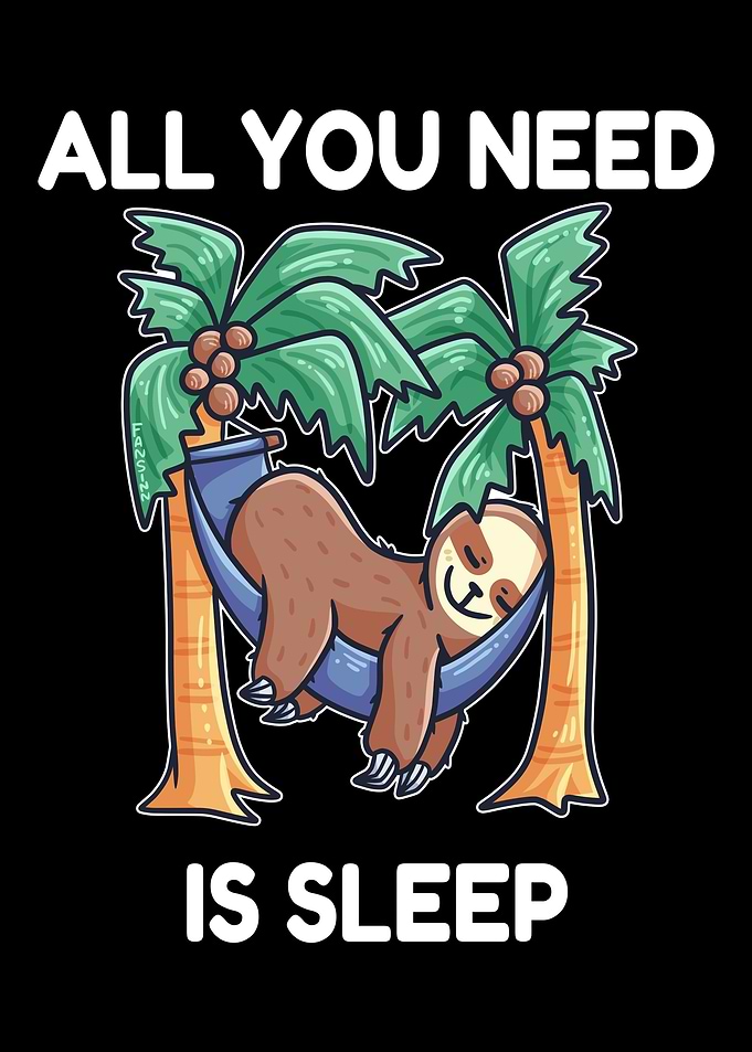 Sloth sleeping hammock