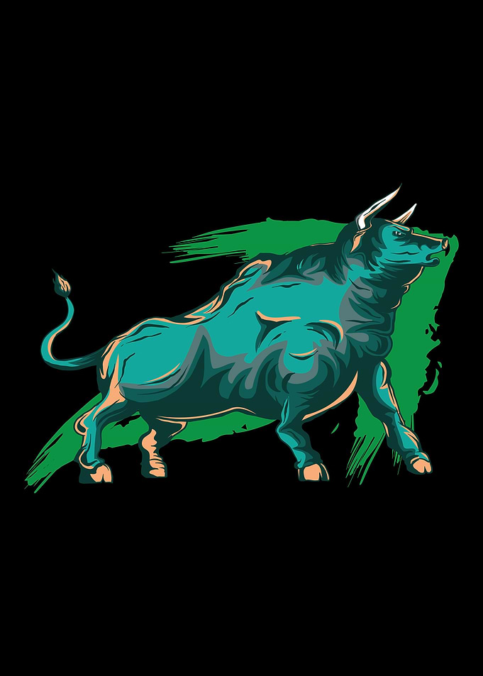 Bull Market