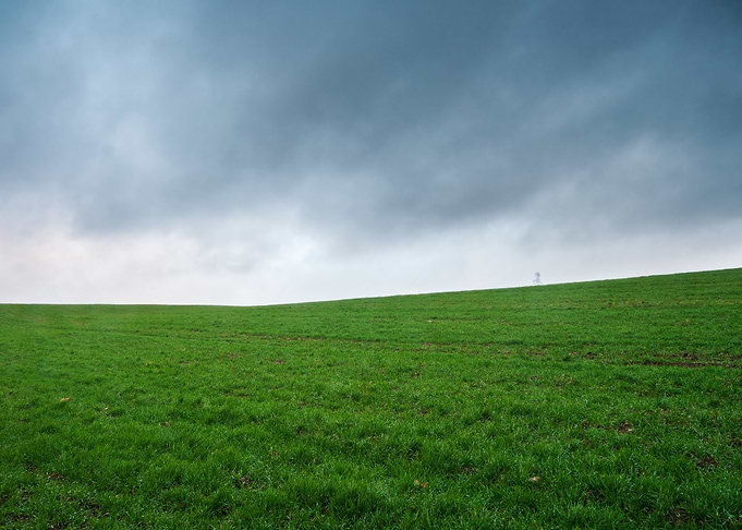 Field Wheat Horizontal Gre