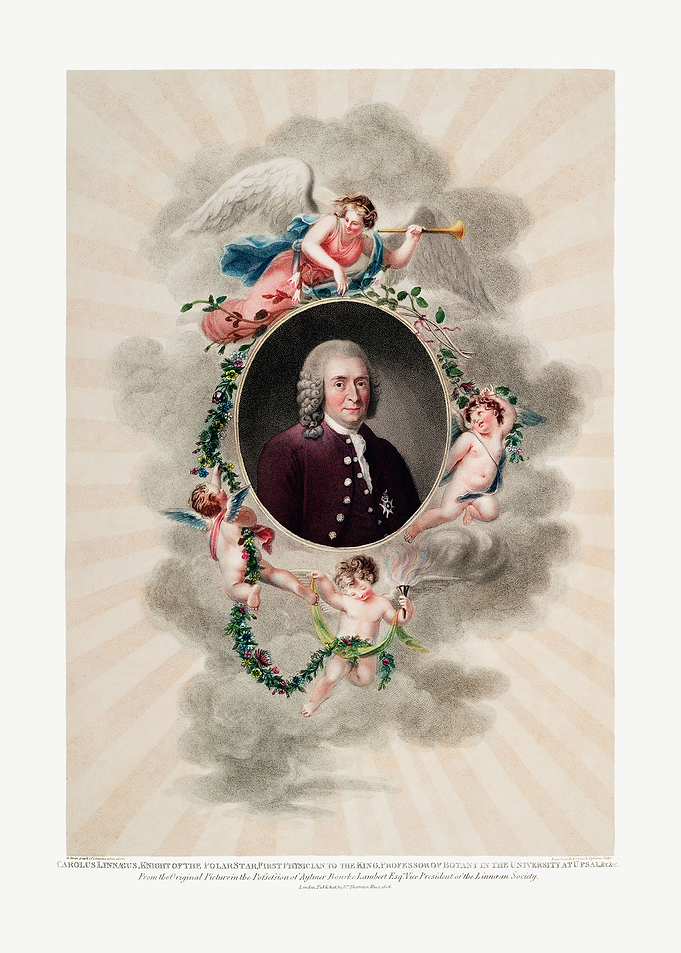 Carl Linnaeus