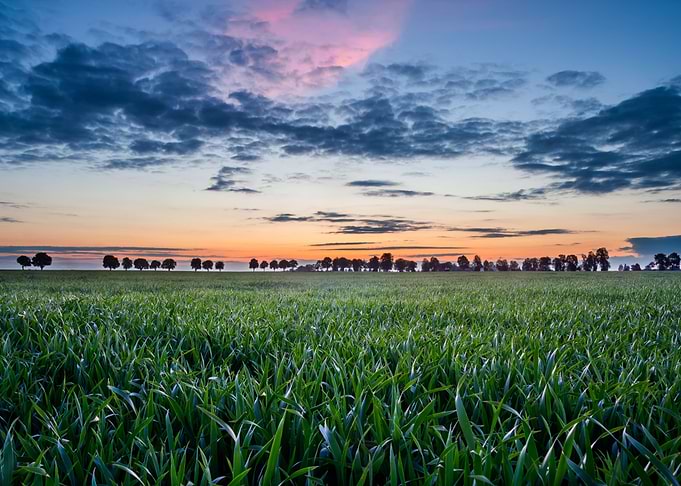 Land Nature Meadow Sky Gre